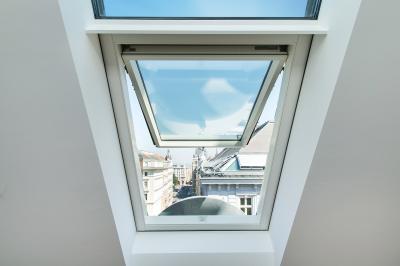 Мансардные окна